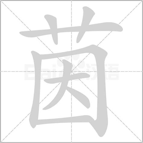 茵字意思